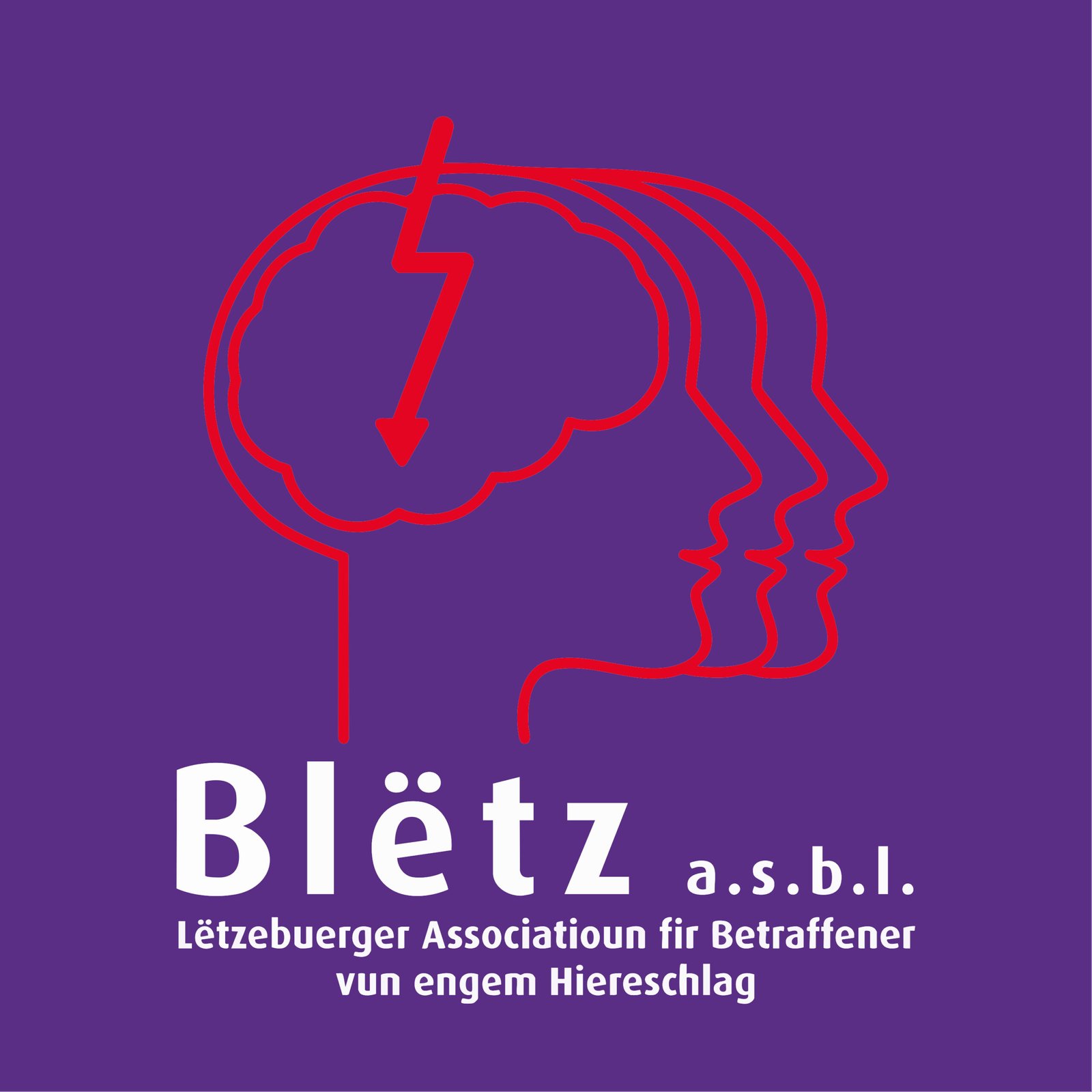 LOGO_BLETZ_NEG_LU_Q_2-1_vecti